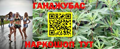 шишки Гусиноозёрск
