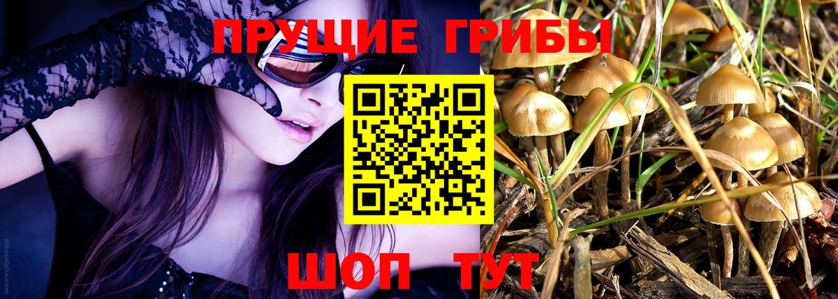 Галлюциногенные грибы GOLDEN TEACHER  Вход с VPN  Елец 